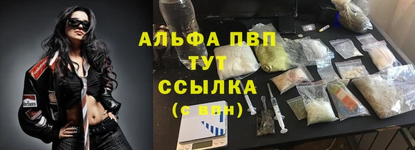 амф Россошь
