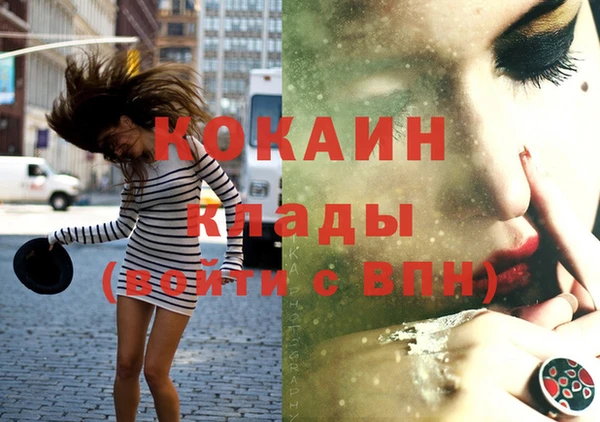гашик Дмитров