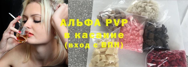 гашик Дмитров