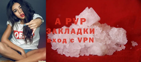 гашик Дмитров