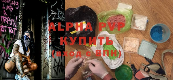 гашик Дмитров