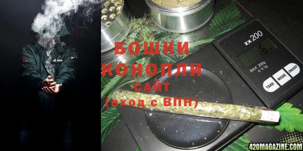 гашик Дмитров