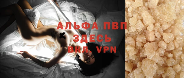 гашик Дмитров